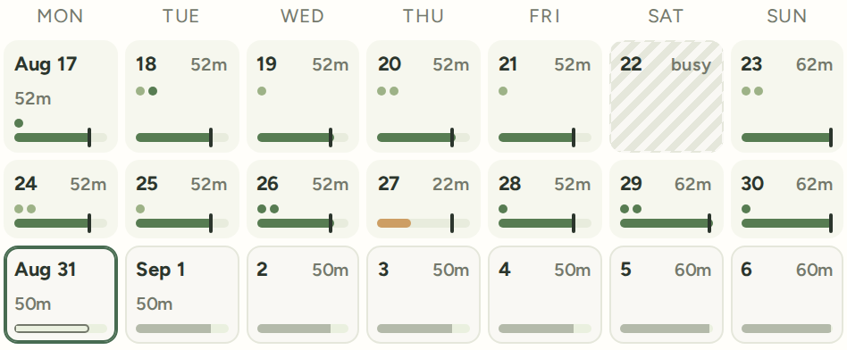 Calendar four weeks later: two past weeks, each day showing minutes studied against its plan and dots for level-ups, a busy Saturday hatched and one short day, then this week's plan.