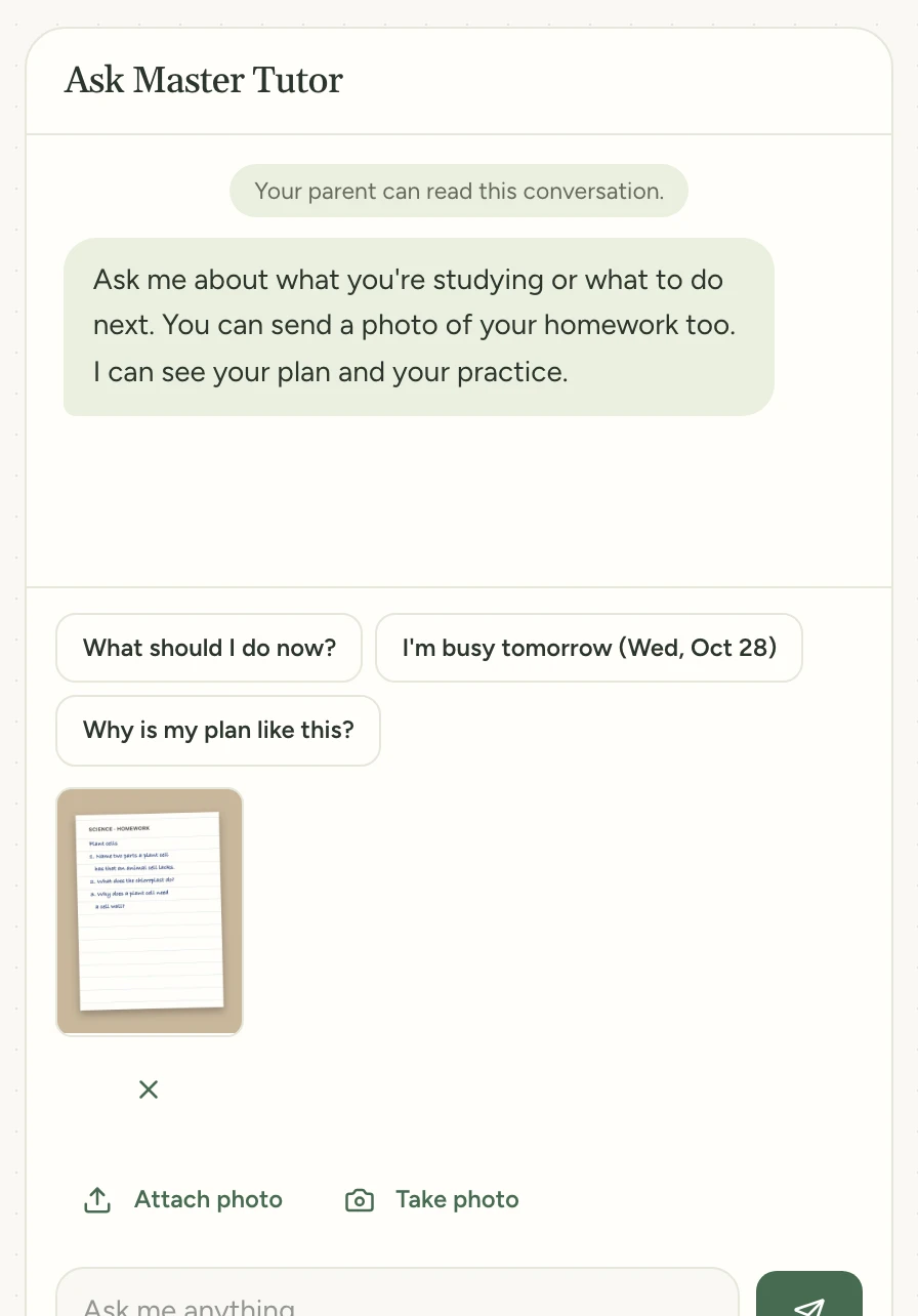 Master Tutor's chat with one page of homework ready to send.